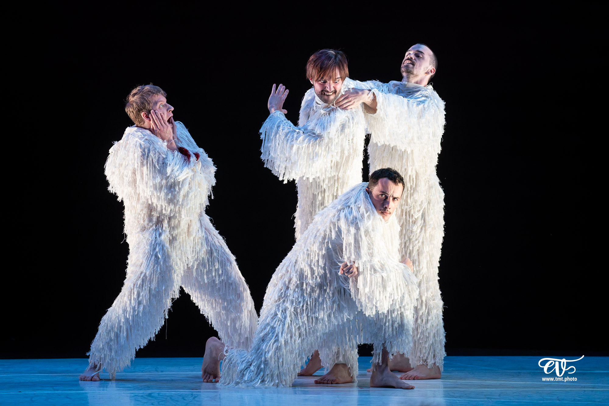 A4 (COMME LA FEUILLE) CIE CHICOS MAMBO